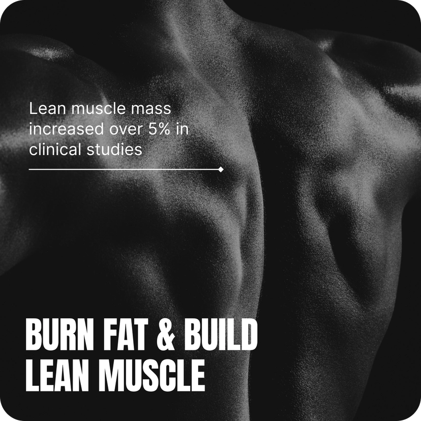 Better Body Composition