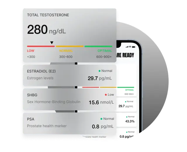 Comprehensive Testing